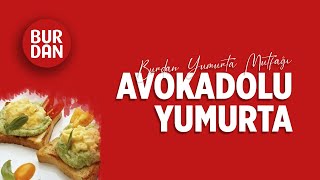 Avokadolu Yumurta Nasıl Yapılır  Burdan Yumurta Mutfağı [upl. by Aetnuahs]