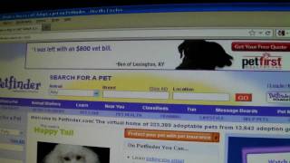 Petfindercom Review [upl. by Tereve416]