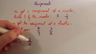 Reciprocals  Corbettmaths [upl. by Auhsohey]