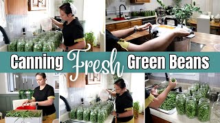 Easy Steps for Canning Fresh Green Beans [upl. by Goldarina414]