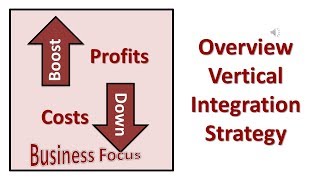 Overview Vertical Integration Strategy [upl. by Debera400]