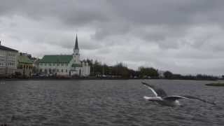 JÓRUNN VIðAR  Concerto Piano  Ástríður Alda Sigurðardóttir  Ligia Amadio  ISO [upl. by Ynes]