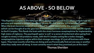 AVOIDING TOXIC PEOPLE and SITUATIONS  Thomas Sheridan [upl. by Nahbois]