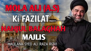 Maulana Syed Ali Raza Rizvi Majlis  Nahjul Balaghah   viralvideo majlis viralvideos [upl. by Janiuszck]