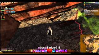 GW2 Lost Badges Silverwastes Achievement Guide [upl. by Preiser]