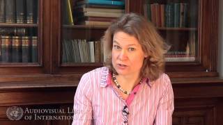 Larissa van den Herik on International Criminal Law and Domestic Courts [upl. by Elka]