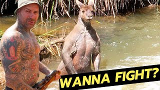 The REAL Outback Australia PetFight And SHOOT Them🇦🇺 [upl. by Einamrej]