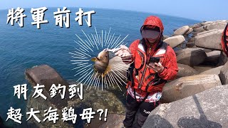 將軍前打 朋友釣到超大海雞母 阿修釣魚中 釣魚 前打 [upl. by Sixel]