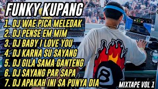 DJ FUNKY KUPANG FYP FULL ALBUM  DHANY HABA REMIX [upl. by Lozano554]