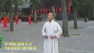 Shaolin Temple Kung Fu  Da Hong Quan by Yan Xu [upl. by Coveney]