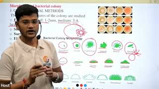 Identification of bacteria in Hindi II [upl. by Procter]