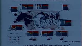 Vídeo 1  Ruminant nutrition and health and beneficial effect of live microorganism as probiotics [upl. by Whiney]