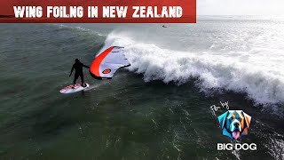 Wing Foiling in waves in New Zealand 4k [upl. by Breanne]