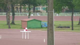 Course 1 Prix Sellerie Cassou  Hippodrome de Toulouse remporté par Solyne HayèresFouchard [upl. by Ehsrop]