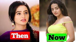 Swaragini Serial Star Cast quotThen And Nowquot l 2015 to 2024 l Unbelievable Transformation [upl. by Htyderem]