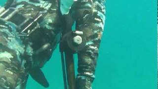 spearfishing Fl Keys Speardivers tv show [upl. by Akeenahs]