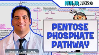 Metabolism  Pentose Phosphate Pathway [upl. by Horick81]