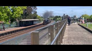 Steamrail Victoria Coming from Southern Cross to Traralgon Passing Moe Station 4K UHD [upl. by Lacim346]