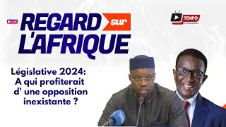 Législative 2024 A qui profiterait une opposition inexistante [upl. by Adneram294]