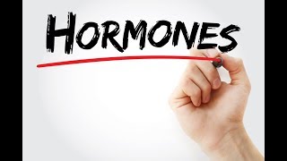 The Essential Role of Estrogen and Progesterone Hormones in Pregnancy  By Dr Nitika Sobti [upl. by Attenod]