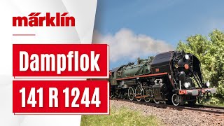 Märklin Überraschungsmodell 2024  Dampflokomotive 141 R 1244 in Spur H0 [upl. by Ori]