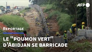 Côte dIvoire le quotpoumon vertquot dAbidjan se barricade  AFP [upl. by Paley]