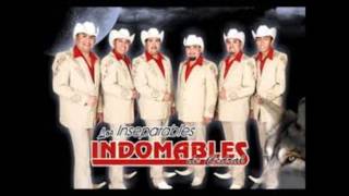 los indomables decedral huapango bailando norteño [upl. by Aneliram228]