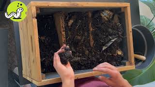 Instructievideo  Wormenhotel van hout  Wormencompost oogsten [upl. by Eimat]