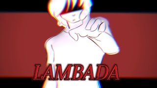 LAMBADA animation meme [upl. by Orland]