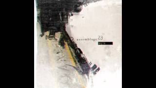 Assemblage 23  Damaged [upl. by Anima243]