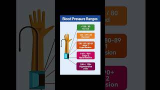 Blood pressure ranges  normal blood pressure [upl. by Mahau]