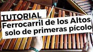 Ferrocarril de los Altos Solo de primera voz picolo TUTORIAL [upl. by Nashom218]