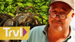 Andrews BUGGIEST Dishes 🐜  Bizarre Foods with Andrew Zimmern  Travel Channel [upl. by Padgett]