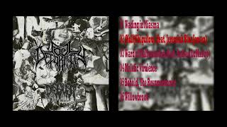 Foul Deformity  Disgust 2024 Brutal Deathmetal [upl. by Ailina459]