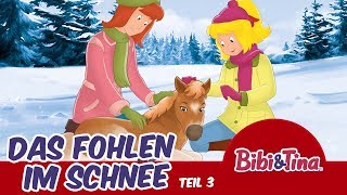 Bibi amp Tina  Das Fohlen im Schnee Hörbuch  33 Minuten ADVENTSKALENDER zum Hören  18 Türchen [upl. by Retsevel]