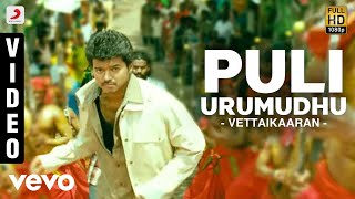 Vettaikaaran  Puli Urumudhu Video  Vijay [upl. by Ahsekam209]