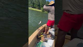 Jug fishing at lake eufaula with my brother youtubeshorts youtube fishing fish [upl. by Allit160]