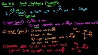 Amide Hydrolysis [upl. by Auberbach]