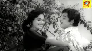 Paribhavichodunna  Pachanottukal  Movie Song  K J Yesudas  Prem Nazir  Vijayasree [upl. by Nnanerak]