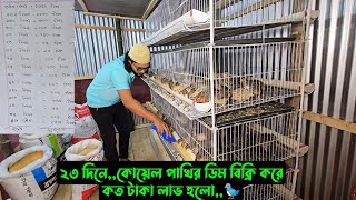 ২৩ দিনেকোয়েল পাখির ডিম বিক্রি করে কত টাকা লাভ হলো 🐦 [upl. by Aurelia149]