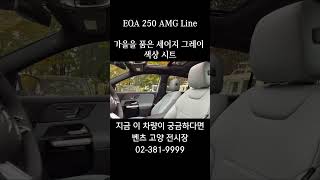 EQA 250 AMG Line 세이지 그레이 색상이 잘 어울리는 실내 감성 모터원 벤츠고양전시장 benz [upl. by Roybn]