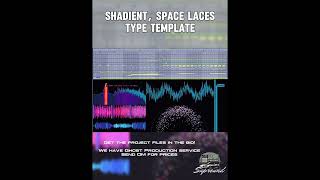 SHADIENT TYPE BASS HOUSE  TEMPLATE  ABLETON LIVE 12 [upl. by Milt]