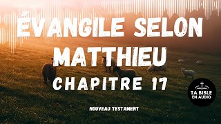 Matthieu 17 [upl. by Nowd]