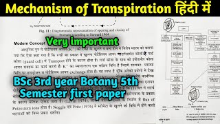 Mechanism of Transpiration in hindi  Opening and Closing of Stomata  BSc 3rd year Botany 5th Sem [upl. by Eelorac]