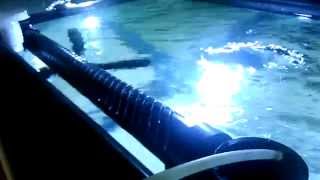 Diy PVC Coast to Coast Weir Aquarium Overflow PVCC2C [upl. by Seldun]