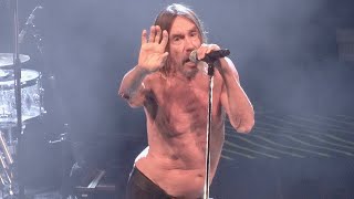 Iggy Pop The Passenger live San Francisco April 22 2023 4K [upl. by Nauht]