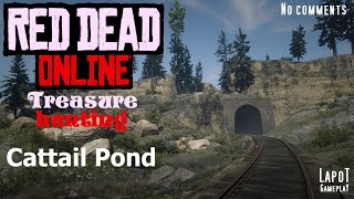 Red Dead Online Treasure hunting Cattail Pond  Карта сокровищ КэттейлПонд [upl. by Lira]