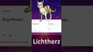 Warrior Cats Katzen Namen im Google Übersetzer [upl. by Crain]