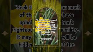 Zephaniah 23 ytshorts bible god flowers flower meditation motivation yellow [upl. by Nanyt]