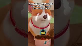 Who fooled  Moco dog cartoon funnyvideo  Moco and Yummy shorts [upl. by Ivan]